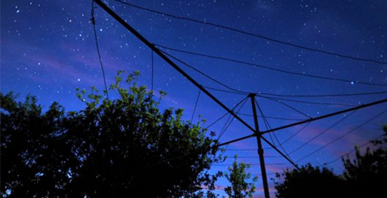 early birt night owl