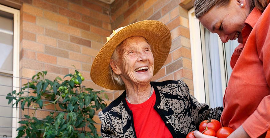 Royal Commission highlights dementia training gaps