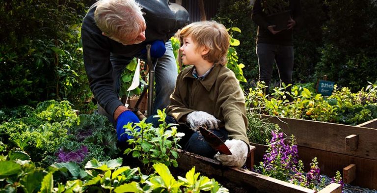 Fellowship programs wellbeing aged care