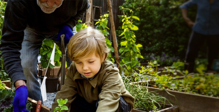 dta newsletter may 2019 boy gardening with senior person