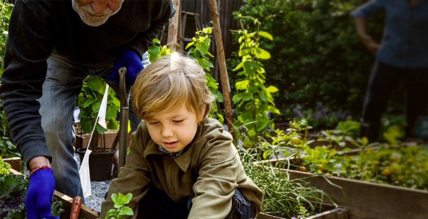 dta newsletter may 2019 boy gardening with senior person