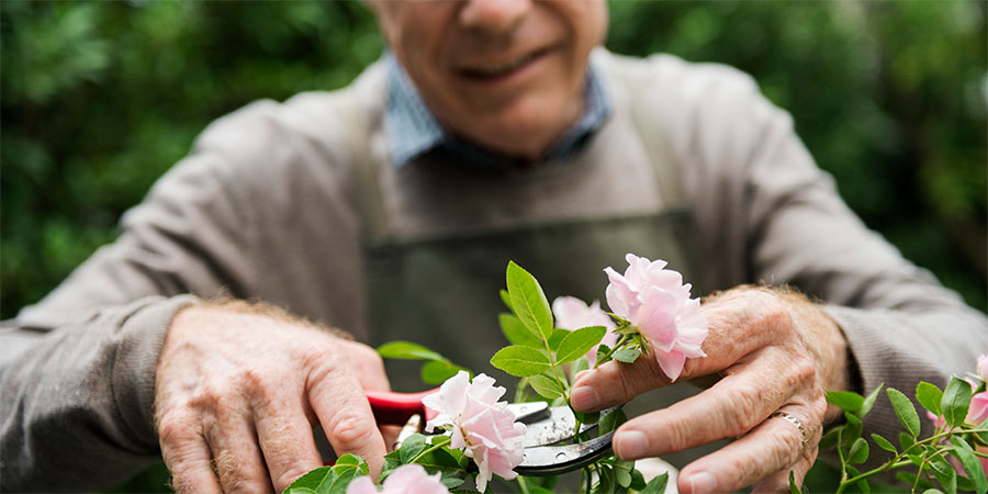 Dementia Training Australia